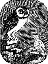 The Owl (giclée only)